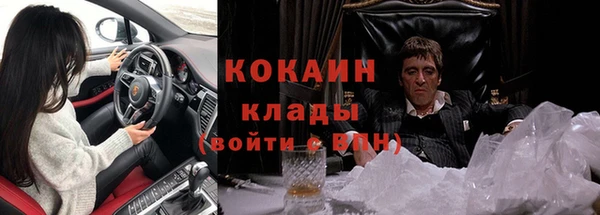 твердый Аркадак