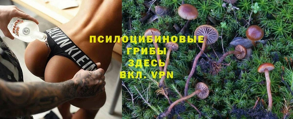МДПВ Армянск