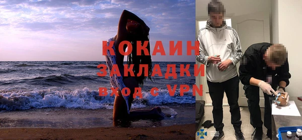 твердый Аркадак