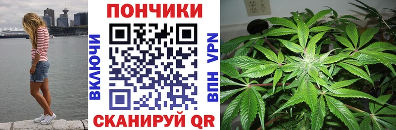 Бошки Шишки ГИДРОПОН  Сортавала 